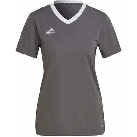 adidas Performance Entrada 22 Voetbalshirt - Dames - Grijs - M