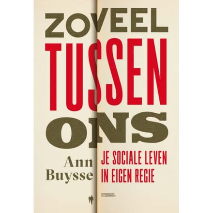 Zoveel Tussen Ons - Ann Buysse