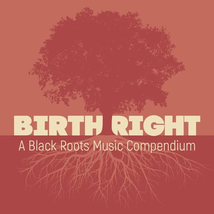Various Artists - Birth Right: A Black Roots Music Compendium (2 CD)
