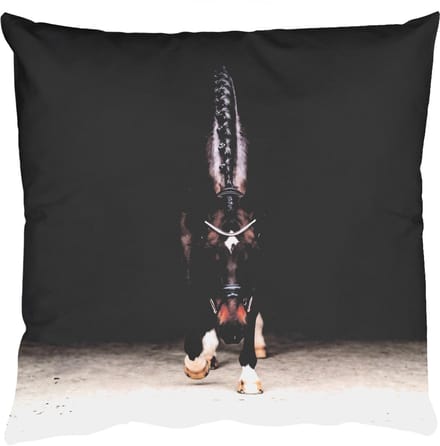 Sierkussens - Kussentjes Woonkamer - 60x60 cm - Paard - Modern - Portret