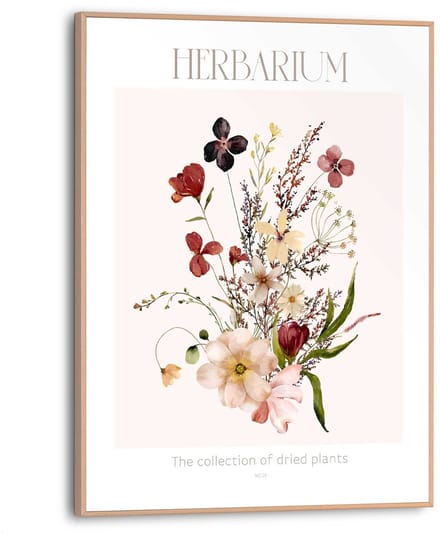 Schilderij Herbarium - 40 x 30 - Hout - REINDERS