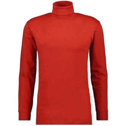 Ragman Long Sleeve Uni Col T-Shirt Single Jersey Dark Wine Red / male