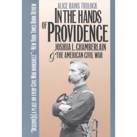 In The Hands Of Providence - Alice Rains Trulock