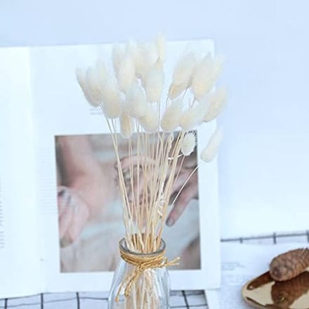 Gedroogde Lagurus - Natuurlijk Gras - Woondecoratie Boeket - 60 Stuks - Wit