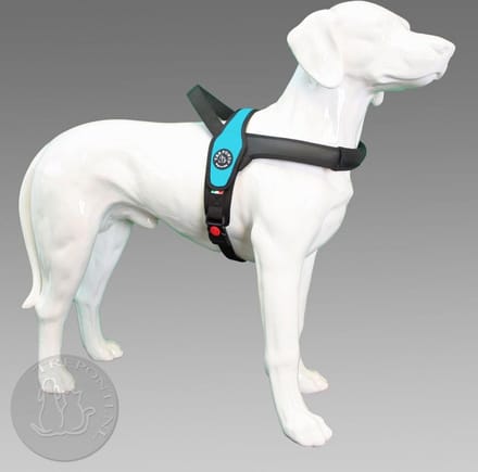 Tre Ponti Primo Standaard XL - 30 - 40 kg - Borstomtrek 80 - 100 cm.