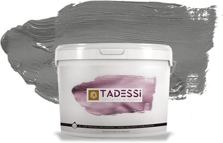 Tadessi Color Vista Muurverf - Dispersie - Steengrijs Mat - 5 L