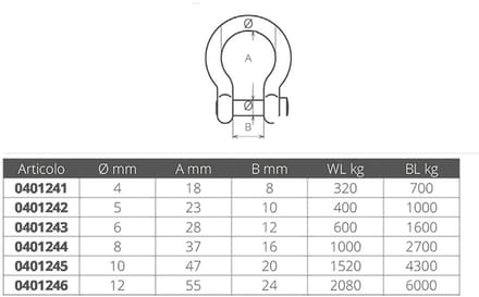 Wichard Boogschakel Zilver 8 mm