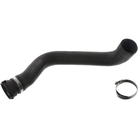 Radiatorslang FEBI BILSTEIN 49746