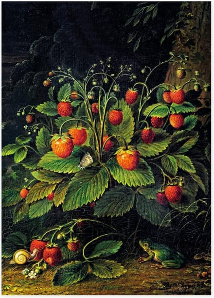 Theedoek, Schlesinger, Aardbeien