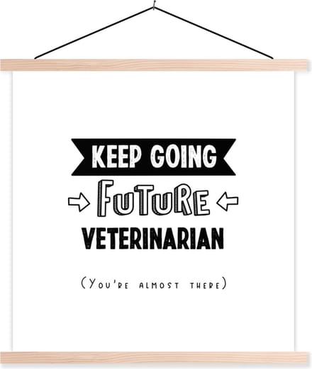 Posterhanger incl. Poster 60x60 cm - Schoolplaat - Quote - Dierenarts - Studeren - Textielposter - Blanke latten