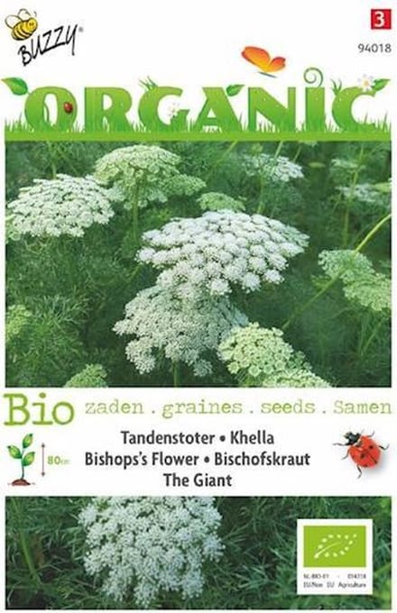 Tandenstoter the Giant Organic Seeds (Bio)
