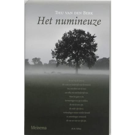 Het Numineuze - T. van den Berk