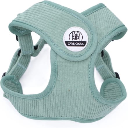 Cavlicious® hondentuigje kleine hond - ergonomisch design - ribfluweel - zeegroen - M