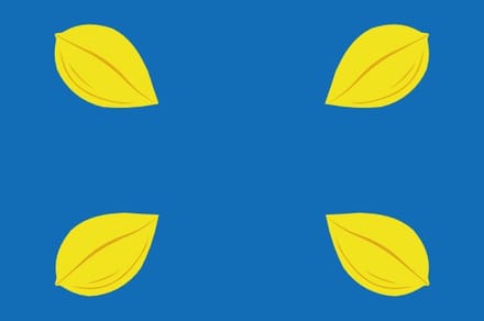 Vlag Hilversum 200x300cm
