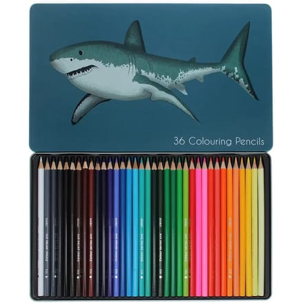 Kleurpotloden voor kinderen Rex London Requins (x36)