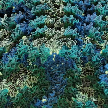 IzangoMa - Ngo Ma (CD)