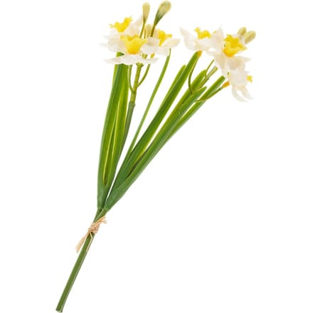 Narcissenbosje "Yellow / White"