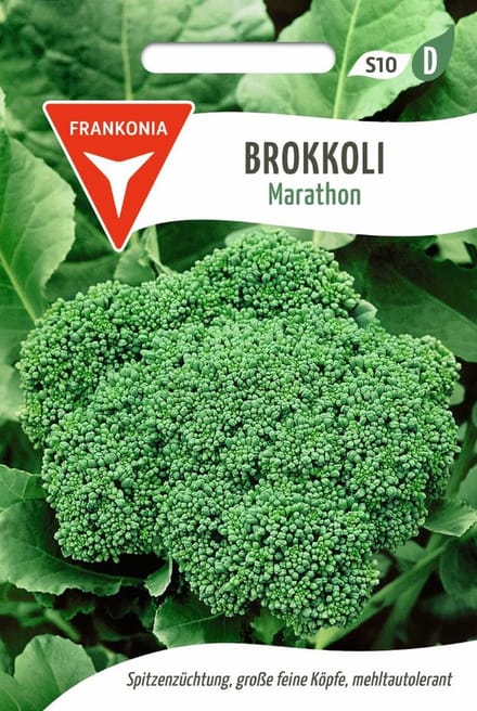 Broccoli, Marathon F1 - Groentezaden