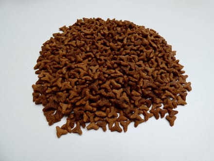 Super Premium kat Anti Struvide 10 kilo