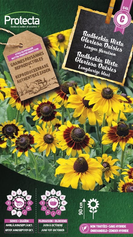 Protecta Bloemen zaden: Rudbeckia Hirta Gloriosa Daisies