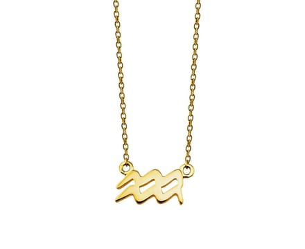 Waterman Ketting Gold-plated Zodiac ZN002G