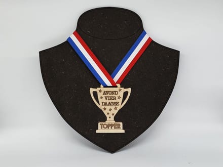 Trofee / Beker 10x8cm avondvierdaagse blank berken