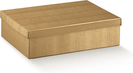 Geschenkdoos, cadeaudoos met deksel karton GOUD, 30x20x10cm (10 stuks)