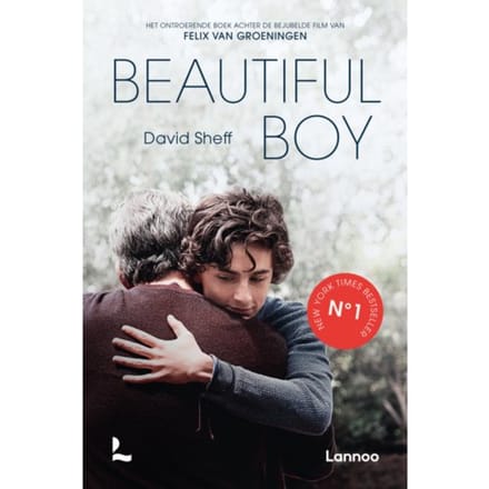 Beautiful Boy - David Sheff