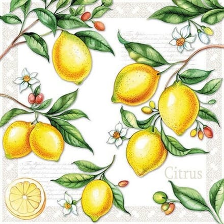 Lunch Servetten Citrus - Ambiente - 33x33 cm
