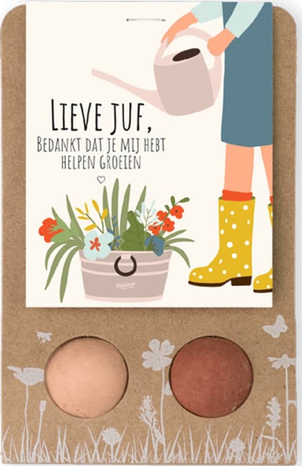 Blossombs Bloembommetjes Weggeefcadeautje - 2 Zaadbommetjes - Lieve Juf