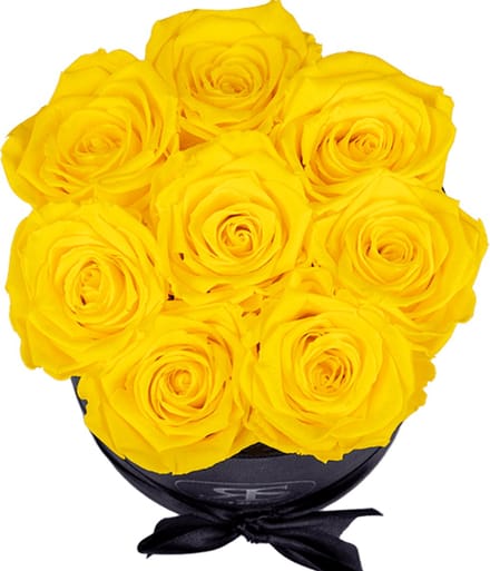 Flowerbox Longlife Gigi lichtroze