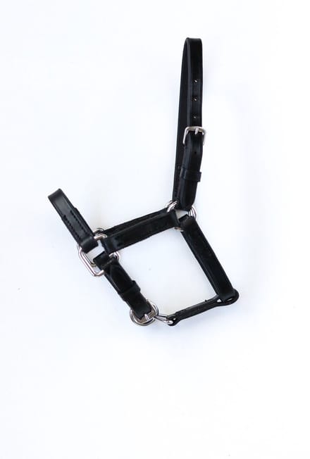 HB - Lederen Mini-mini veulenhalster - Zwart