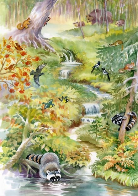Bluebird Puzzle dieren bos - 1000 stukjes puzzel.
