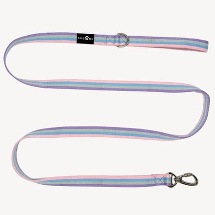 Regenboog - Hondenriem - M- 2,5 cm breed - 2 m / 2 meter / 200 cm lang - Leiband hond