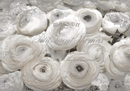 White Roses Vintage Effect Photo Wallcovering