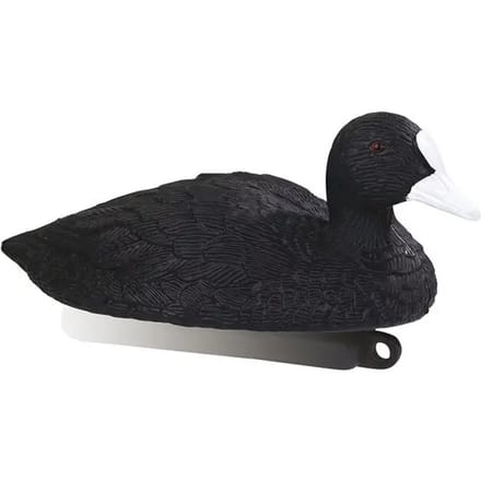 Bellen van meerkoet Stepland (x12)