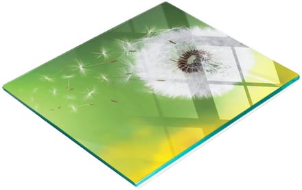 Gehard multifunctioneel decoratief bord van glas met paardenbloemmotief, 60x52 cm