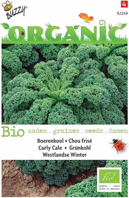 5 stuks - Buzzy - Organic Boerenkool Westlandse (Skal 14275)