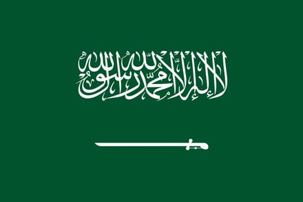 Vlag Saoedi-Arabie 300x450cm