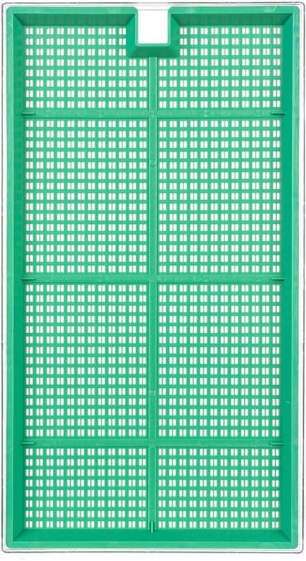 Clion sprouter groot 27 x 15 cm groen
