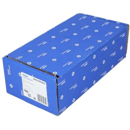 Injectiemondstuk DELPHI BEBJ1D04001