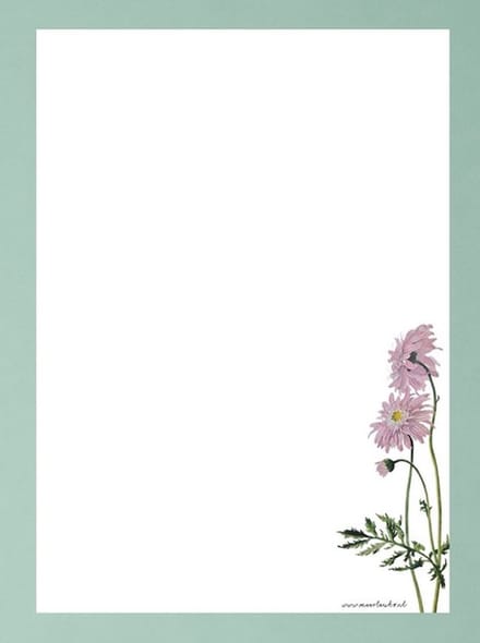 Briefpapier - 24 vellen A4 formaat - Wilde Chrysant - Postpapier met bloemen - Meer Leuks