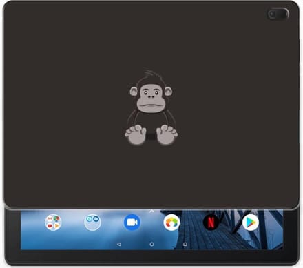 Lenovo Tab E10 Tablet Back Cover Gorilla