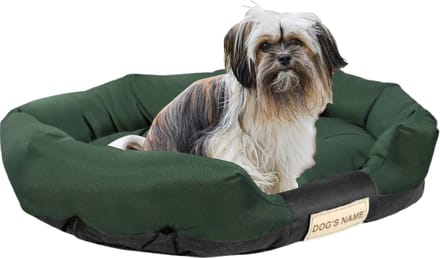 AIO Factory - Ovale Hondemand - 100x75 cm - Waterdicht - Personaliseerbaar - Groen