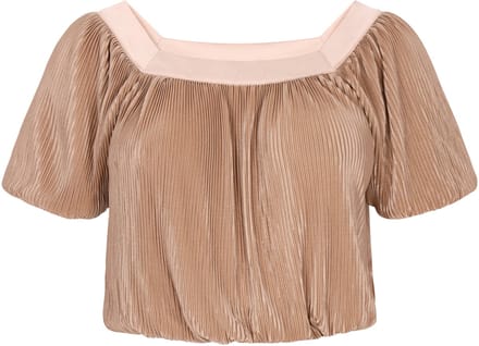 usha Blouse