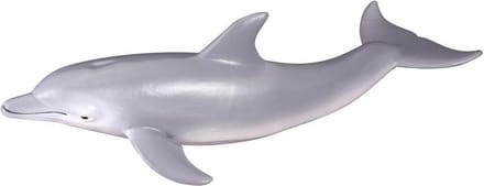 COLLECTA Figurine - Dolfijn - (M)