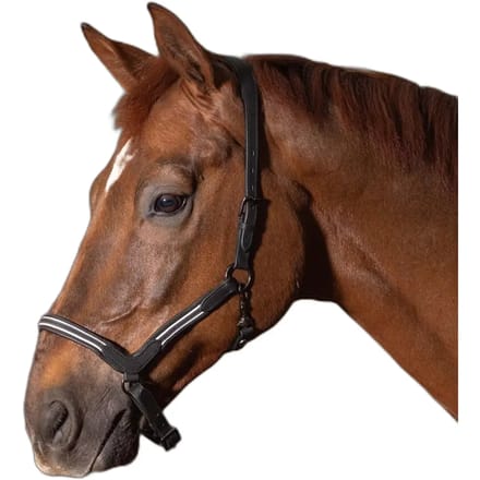Leren halster voor paarden Harry's Horse Flash