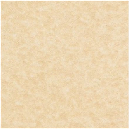 PERKAMENT OUD - A6 - 170 GM - 100 vel
