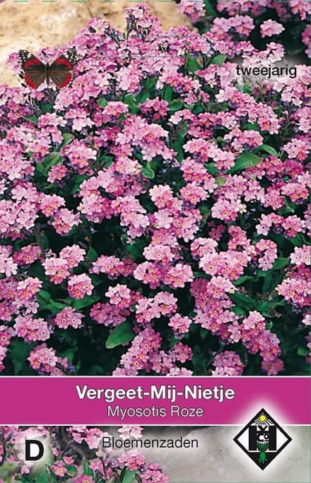 Van Hemert & Co - Vergeet-Mij Nietje Roze (Myosotis sylvatica)