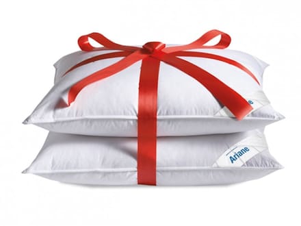 Altijdgoedslapen Hoofdkussen set (2) Ariane 15% dons 1000 gram 60x70 cm